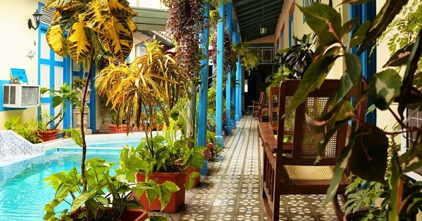'Patio interior y piscina' Casas particulares are an alternative to hotels in Cuba.